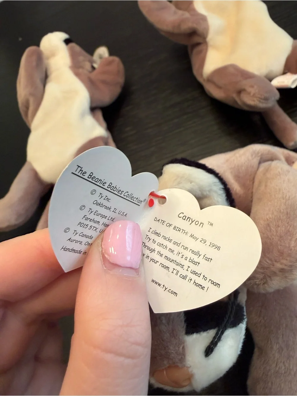 NWT Vintage Ty Beanie Babies Bundle of (3) Canyon Cougar Stuffed Animals
